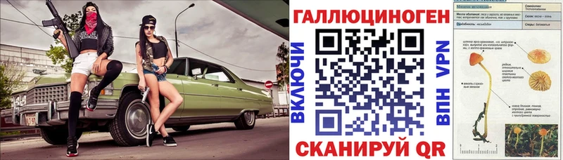 Псилоцибиновые грибы Psilocybine cubensis Балабаново