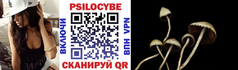 Псилоцибиновые грибы Psilocybine cubensis  Балабаново 